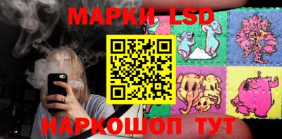 бошки Новодвинск